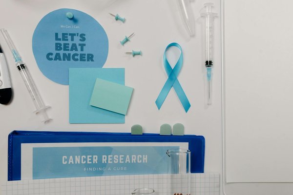 Promoviendo una Vida Saludable y Activa